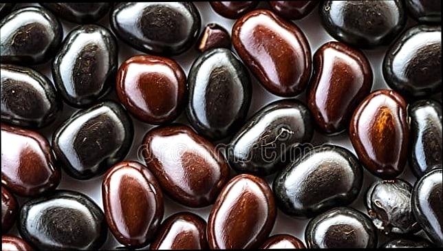 Dense Bean Greek Salad 12 Frequently Asked Questions