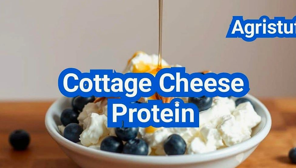 High Protein Cottage Cheese Flatbread 10 Tips for the Best Results