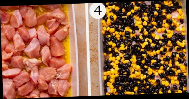 High Protein Southwest Chicken Bowl 10 Tips for the Best Results