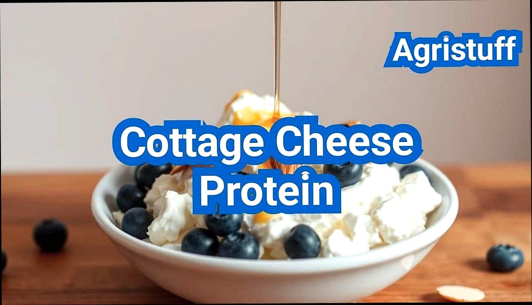 High Protein Cottage Cheese Ice Cream 10 Tips for the Best Results