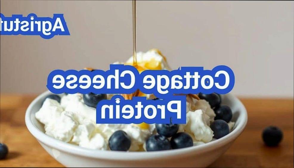 High Protein Cottage Cheese Chicken Bowl 10 Tips for the Best Results
