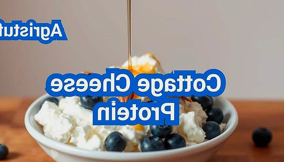 High Protein Cottage Cheese Taco Bowl 10 Tips for the Best Results