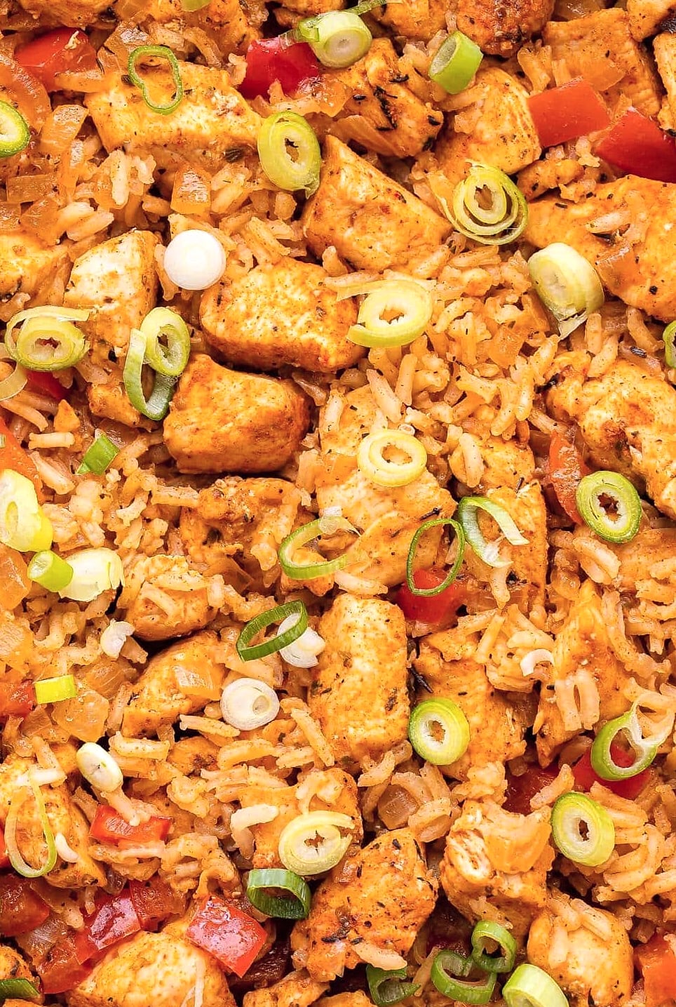 Cajun Chicken Pepper Jack Rice Skillet 11 Storage and Reheating